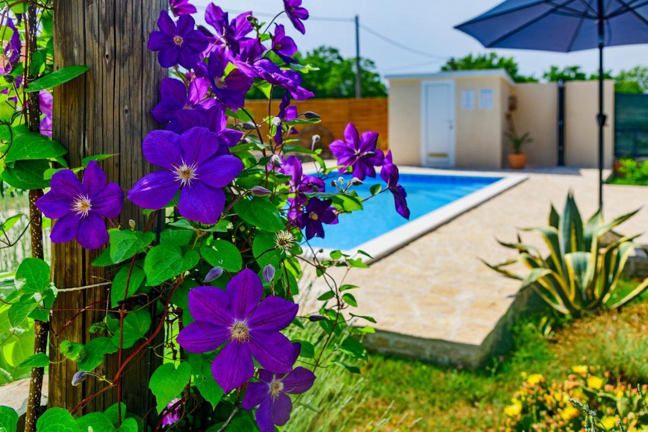 Smokovic Sunny Houseヴィラ エクステリア 写真