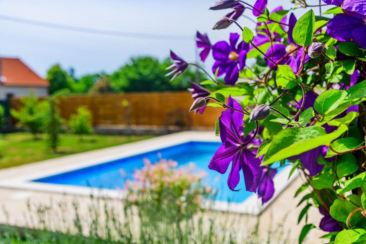 Smokovic Sunny Houseヴィラ エクステリア 写真