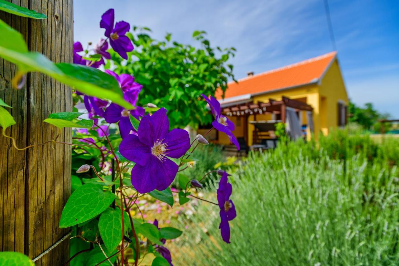 Smokovic Sunny Houseヴィラ エクステリア 写真