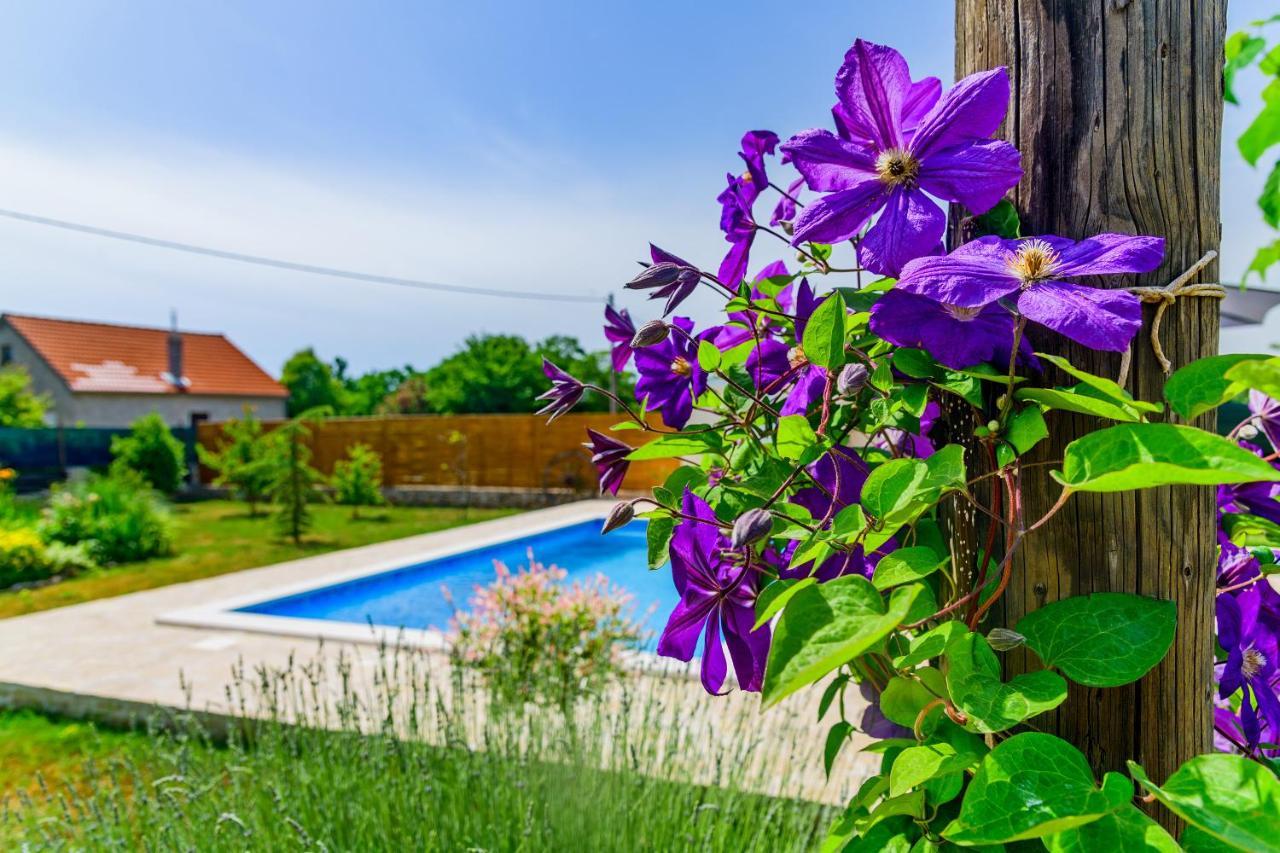 Smokovic Sunny Houseヴィラ エクステリア 写真