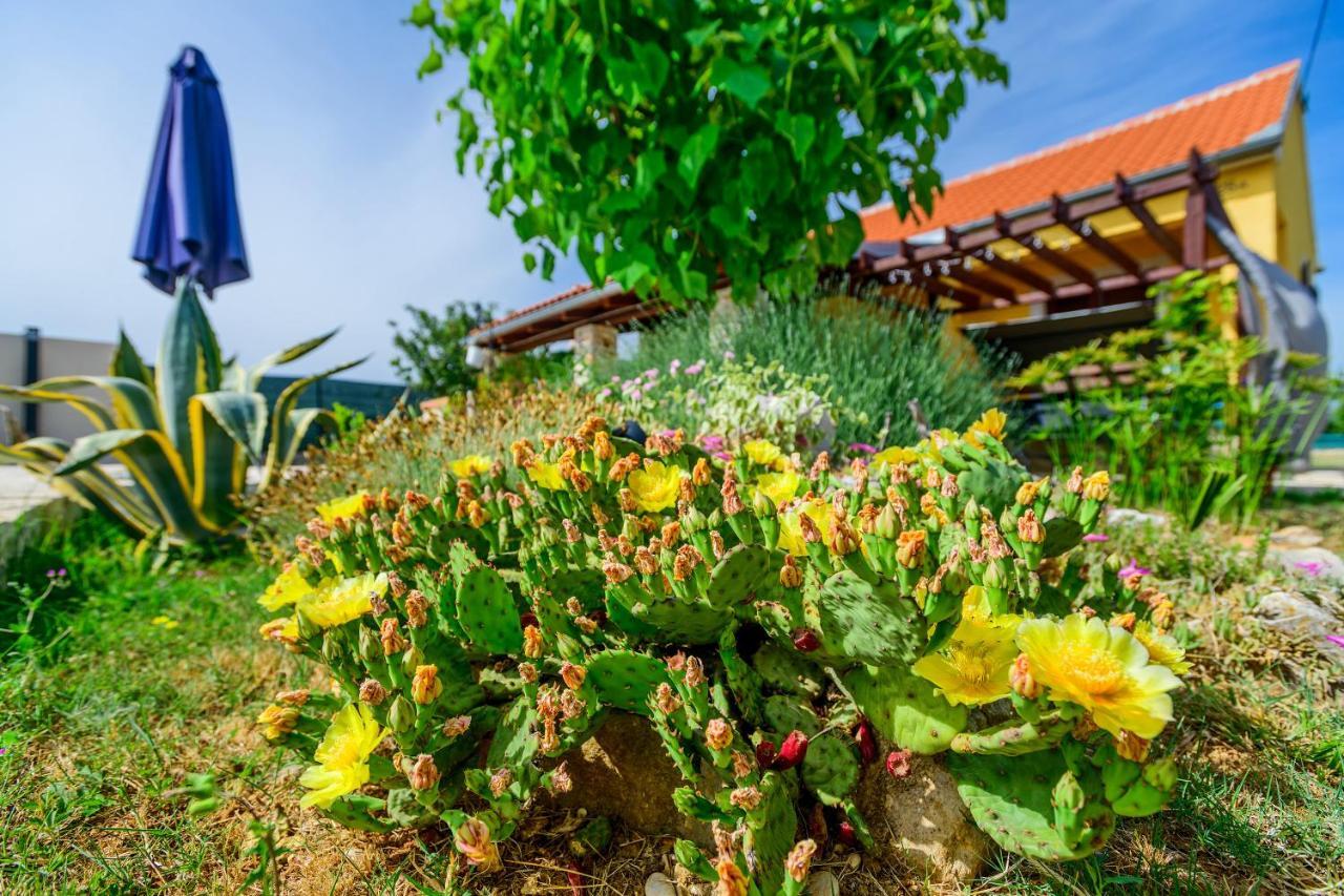 Smokovic Sunny Houseヴィラ エクステリア 写真