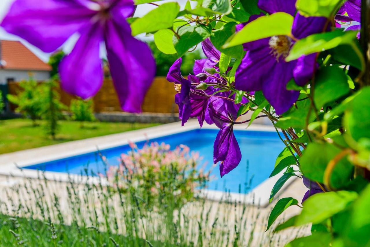 Smokovic Sunny Houseヴィラ エクステリア 写真