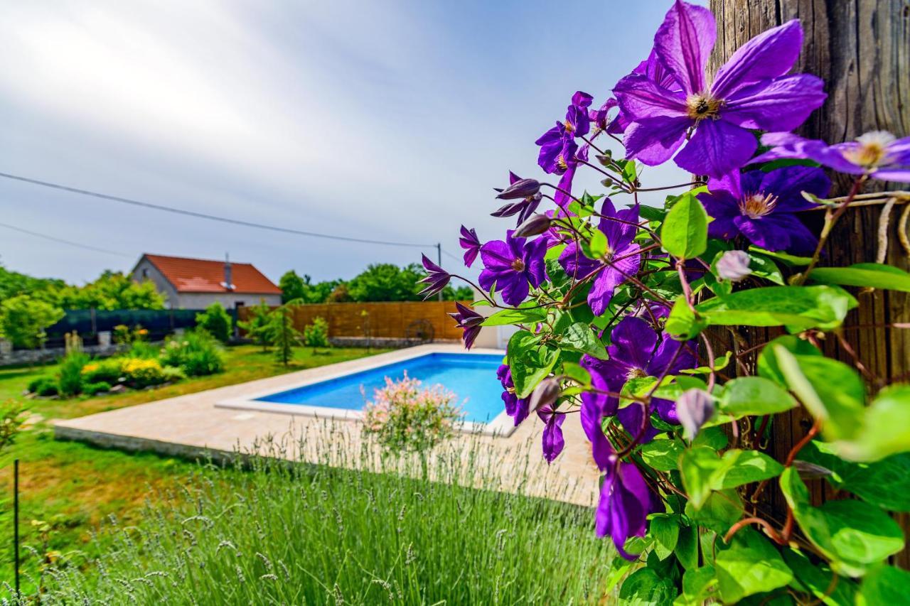 Smokovic Sunny Houseヴィラ エクステリア 写真